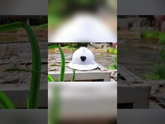 耐衝撃性の仕事の頭部の安全ヘルメットEN397電力のための懸濁液6ポイントの